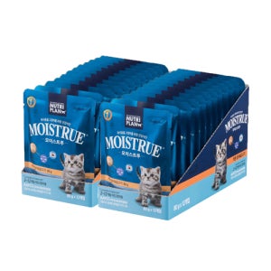 동원 모이스트루 주식파우치 습식사료 키튼, 80g, 24개