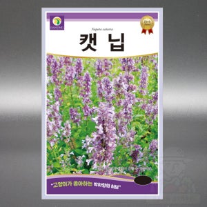 캣닙 1g 개박하 고양이풀 허브 씨앗 꿀풀과 다년생 야생화 고급 꽃 씨 종자