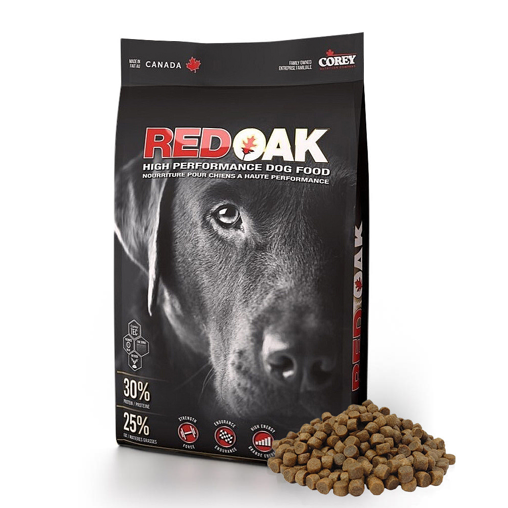 골든 리트리버 (Golden Retriever)