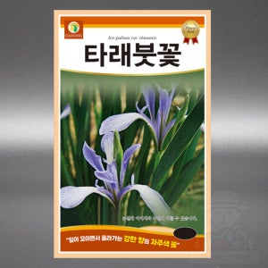 타래붓꽃 씨앗 2g 야생화 붓꽃과 다년생 꽃 씨앗 씨 종자 다년생
