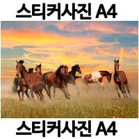 A087-6/스티커사진 A4 말사진 방수라벨지 실사코팅 핸드폰사진인화 프린트할수있는곳 사진인쇄 사진출력 인쇄출력