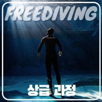 프리다이빙 강습 자격증 상급 서울 잠실 수원 SSI3 교육