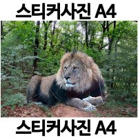 A101-6/스티커사진 A4 사자사진 방수라벨지 실사코팅 핸드폰사진인화 프린트할수있는곳 사진인쇄 사진출력 인쇄출력