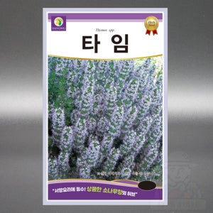 타임 씨앗 1000립 백리향 허브 꿀풀과 다년생 야생화 고급 꽃 씨 종자