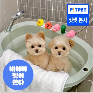 헤이테일 접이식 강아지 욕조 반려동물 목욕통 고양이 애견욕조 대형