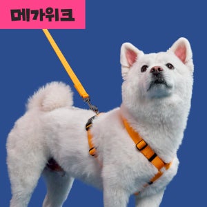 [강형욱X퍼피즈] 퍼피즈 어드벤처 가슴줄 (기본형), 강아지 하네스 목줄 산책줄