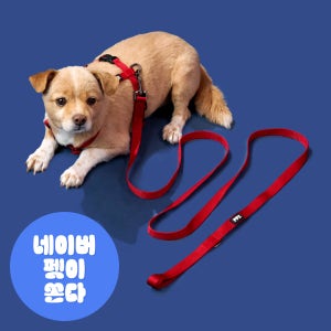 [강형욱X퍼피즈] 퍼피즈 어드벤처 리드줄, 강아지 산책줄, 강아지 산책줄 리쉬 (2미터/3미터)