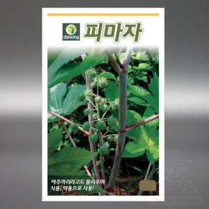 다농 피마자 30립 아주까리 피마자 씨앗 씨 종자