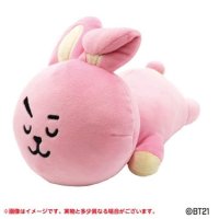 BT21 모후 모 후데 마쿠라 COOKY