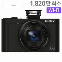 소니 사이버샷 dsc-wx500 (16gb/ 삼각대패키지)