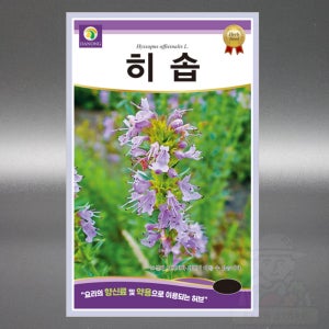 히솝씨앗 1g 허브 꿀풀과 다년생 야생화 고급 꽃 씨 종자