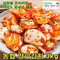 이맑은김치 화원농협 양파김치 3kg