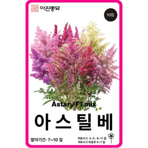 아스틸베 씨앗 10립 / F1교배종 노루오줌 꽃씨 몰 봄 가을 꽃씨앗 다년생 야생화