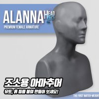 Alana Head 2.0 조소용 아마추어 헤드(여성) 1:1 사이즈