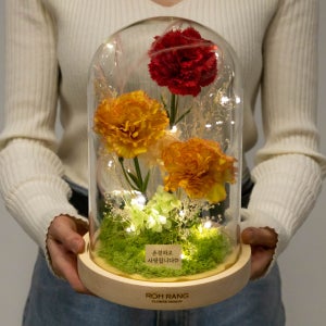 카네이션 꽃 무드등 리카 부모님 어버이날 스승의날 선물