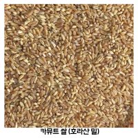 22년산 카뮤트 호라산밀 다이어트와 당뇨에 좋은 슈퍼푸드 카뮤트쌀 1kg