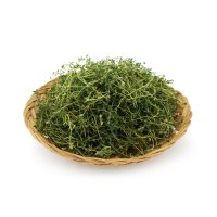 타임 Thyme 1팩 10g 커먼 타임 백리향 생잎 허브 향신료