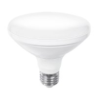 (데이온) LED PAR30 확산 조광용 20W 주광색 주백색 전구색