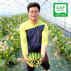 양주 은아농장 [산지직송][당일수확]GAP가 인증한 신선한 미니오이