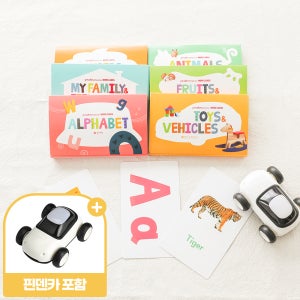 핀덴 영어 낱말 카드 + 핀덴카
