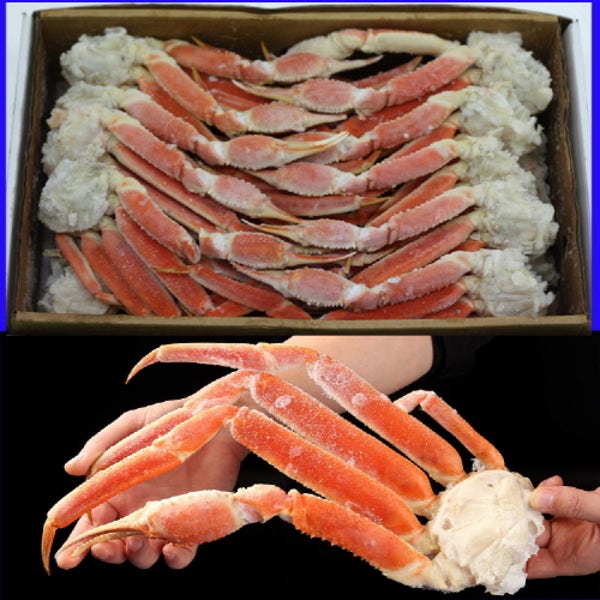 대게배달 스노우크랩 대게 5KG 러시아 마가단 냉동 자숙 박달 섹션 다리 장터
