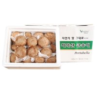 큰송이 포타벨라 농장 1kg 직발송 버섯 7WA974A5