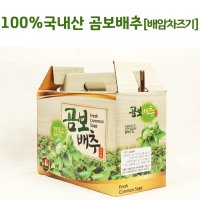 유기농 곰보배추즙 필수아미노산함유 100ml x 60포 건강즙 액기스 선물 항산화차