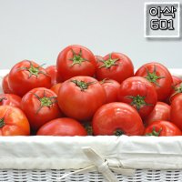 완숙 찰 토마토 정품 3kg 5kg 10kg