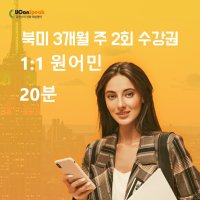 원어민 전화영어 북미 주2회 20분 3개월 수강권 성인전화영어 직장인전화영어 영어회화