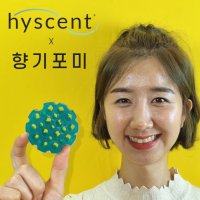 하이센트 방향제 16종리필향 추천향 hyscent 신발장 방향제 옷방 드레스룸