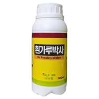 흰가루박사 500ml 딸기 장미 참외 오이 호박 포도 흰가루병약 곰팡이병약