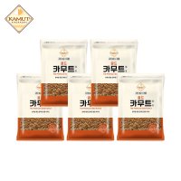 [곡물마켓] 골드 카무트 500g x 5