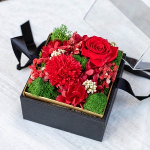 소프트 카네이션 플박 플라워박스 어버이날 스승의날 선물