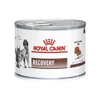 [로얄캐닌] 강아지 고양이 처방식 리커버리 캔(Recovery Can) 195g