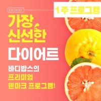 바디밥스 1주 덴마크 다이어트 프로그램 다이어트 정기배송 단기 식단