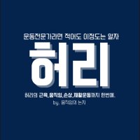 운동전문가의 기본. 허리편