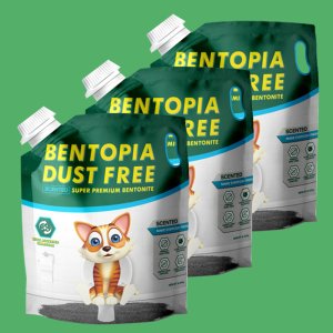 벤토피아 먼지없는 고양이 벤토나이트 모래 유향 6.35kg X 3개