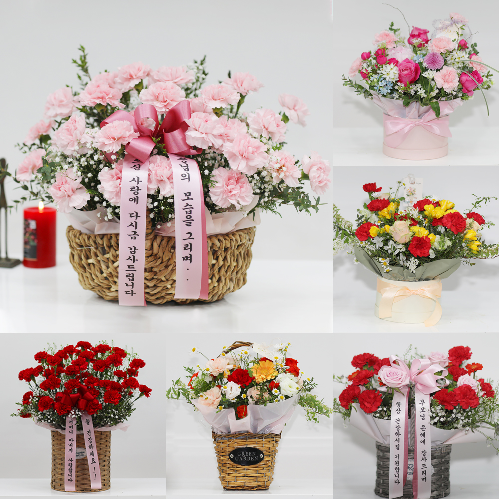 카네이션 꽃바구니 생화 감사