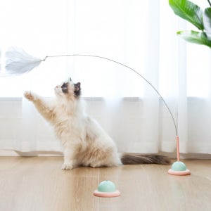 다묘집사 고양이 UFO 혼자노는 낚시대 장난감