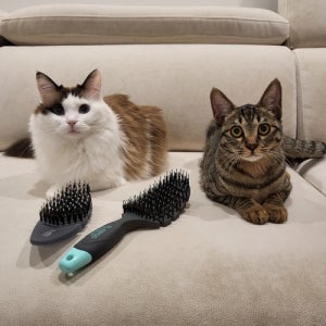 엘아미고 고양이빗 브러쉬 죽은털제거 안아픈빗