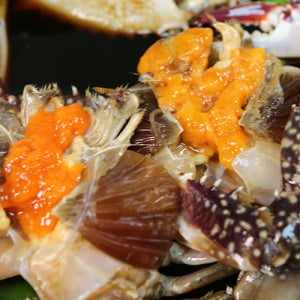 게들의만찬 연평도간장게장 암꽃게 간장게장 꽃게장 3kg 5마리