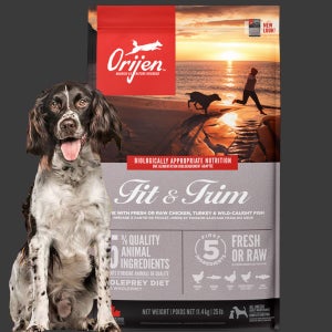 (+소분팩세트) 오리젠 피트앤트림 독, 11.4kg, 1개
