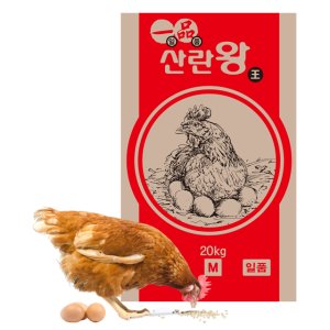 닭사료 최저가 가성비상품