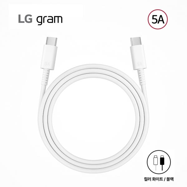 윌디 LG 그램 (정품) 노트북 충전기 케이블 5A CtoC 2m LP65WGC20P-EK 충전기