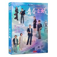 청춘지성 DVD 1-33화 진해로 임우신 열의찰 주우진 중드 굿즈