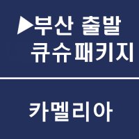 부산출발 카멜리아 후쿠오카 시내숙박 2박3일(선박여행 큐슈)