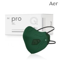 아에르 Pro Q200F (프로 큐) 그린 1급 방진마스크 1BOX (10개) 산업 분진