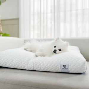 올웨이즈올펫 강아지 쿨방석 고양이 냉감 아이스 쿨쿠션 M