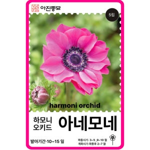 아네모네 씨앗 F1교배종 하모니 오키드 / 5립 아네모네 종자 꽃씨 몰 고급 종자 꽃꽂이