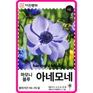 아네모네 씨앗 F1교배종 하모니 블루 / 5립 아네모네 종자 꽃씨 몰 고급 종자 꽃꽂이